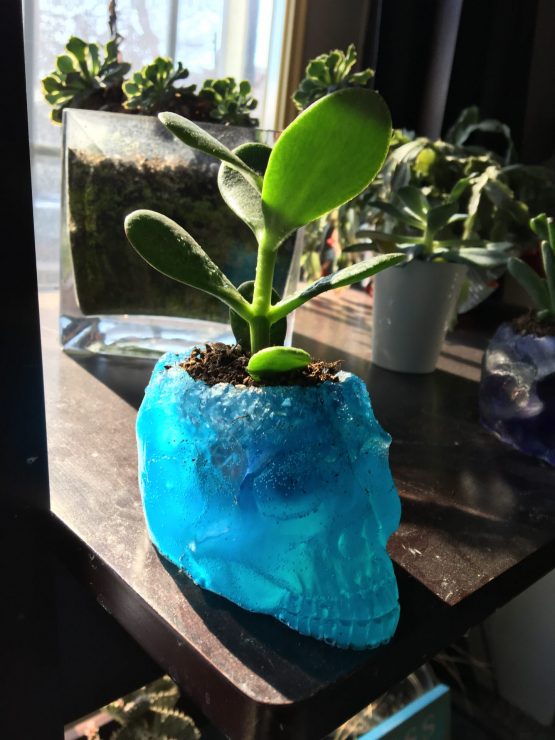 Skull Planter - Image 2