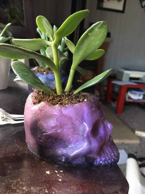 Skull Planter - Image 3