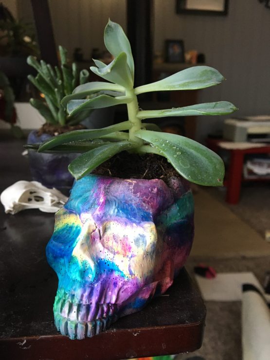 Skull Planter